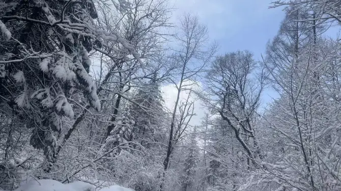 Changbai Mountain Premier Natural Rafting