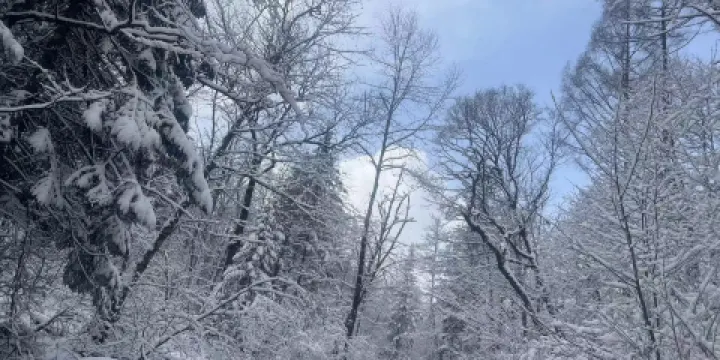 長白山原始生態第一漂