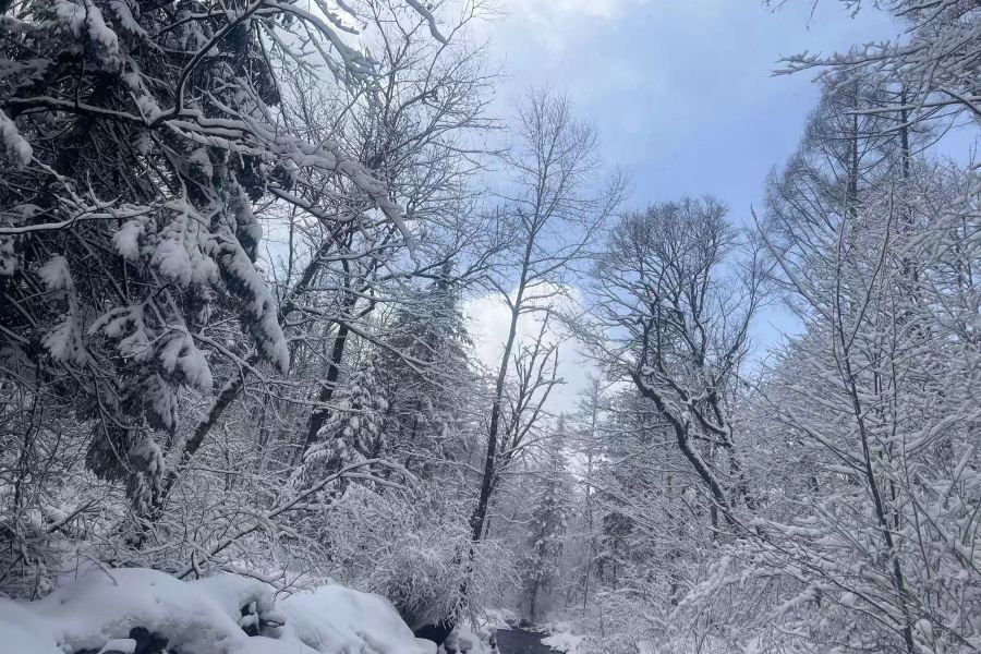 長白山原始生態第一漂