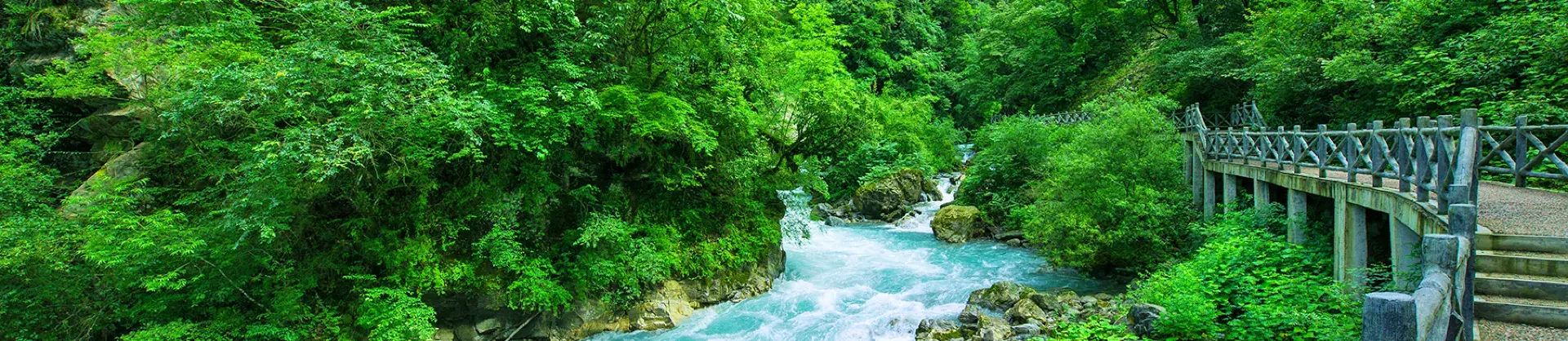 Công viên nước