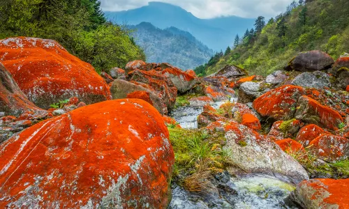 Erlang Mountain National Forest Park