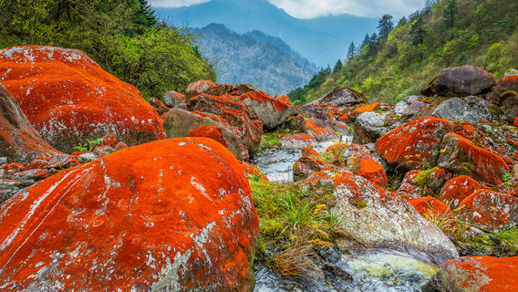 Erlang Mountain National Forest Park