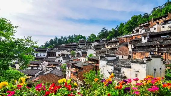 婺源篁嶺一日遊賞梯田花海含索道純玩團小團可選黃山出發