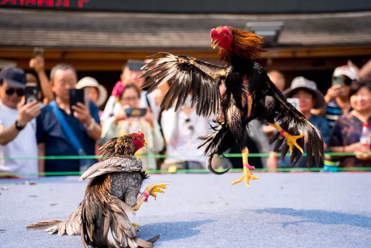 5_Xishuangbanna Dai Garden
