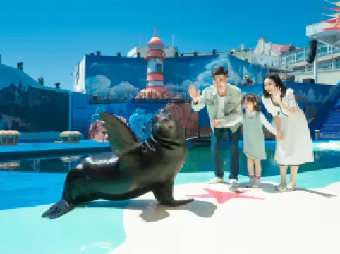 Qingdao Polar Ocean World