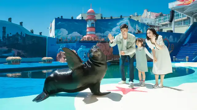 青島極地海洋公園
