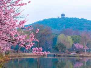 Tai Hu Yuantouzhu Scenic Spot