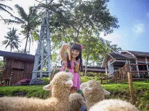Cimory Dairyland On The Valley