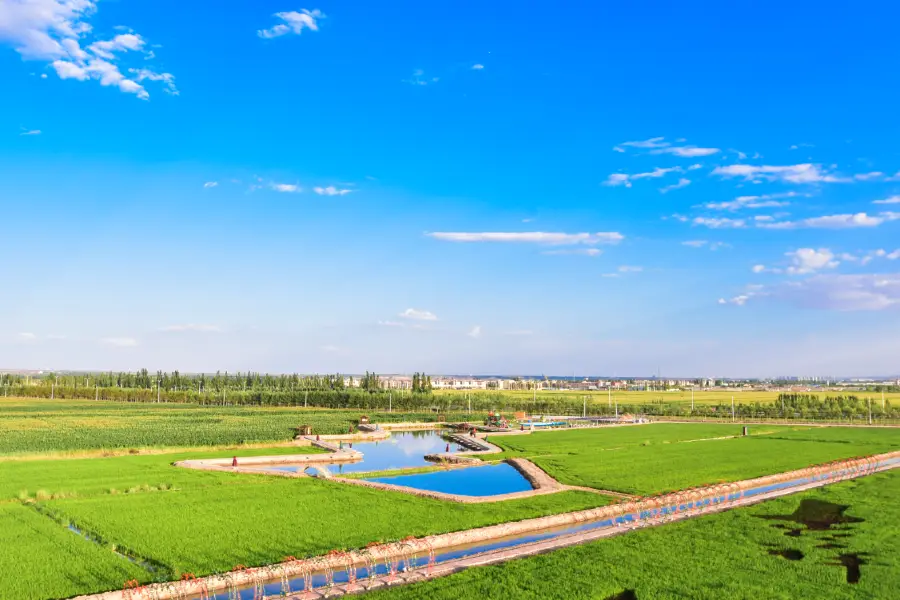 市外淘園生態農業觀光園