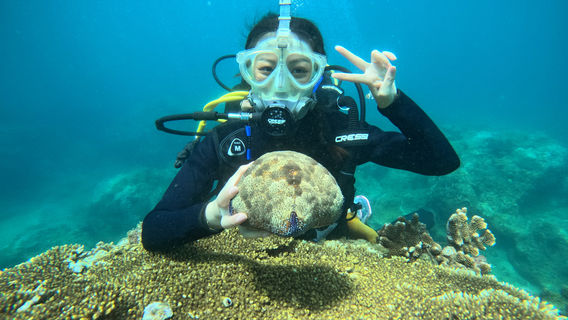 Qingshui Bay Ziyou Lu Yacht Club