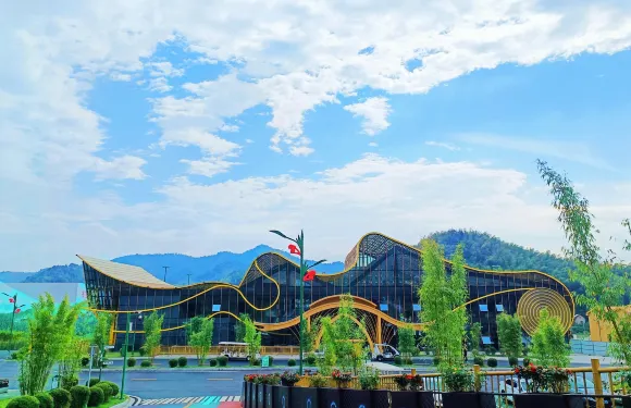 桃花江竹海景區秘境擁星河套餐大小同價