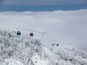 푸뉴산 스키리조트