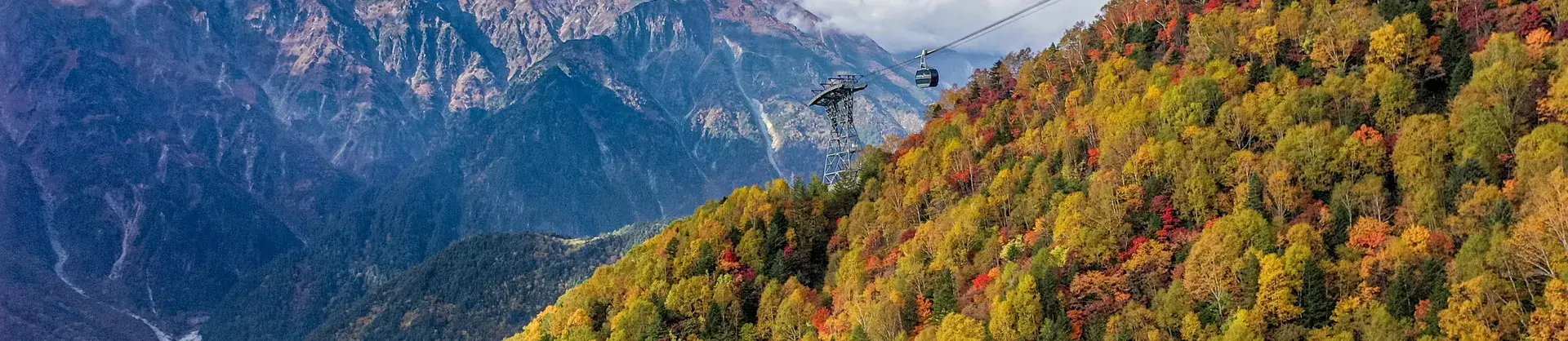 Fall Viewing Attractions