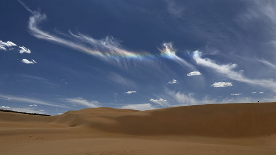 Yinken Steppe Desert Ecological Cultural Tourism Area