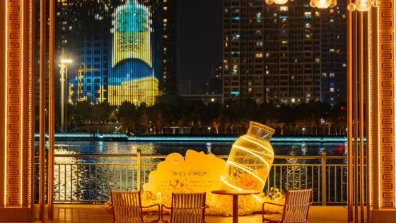 隨州白雲湖夜遊