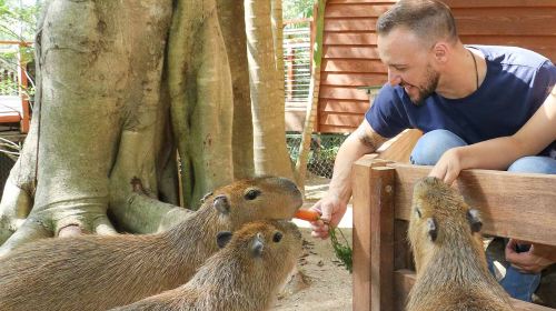 Currumbin Wildlife Sanctuary