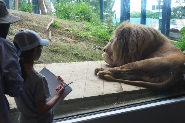沖縄こどもの国 Okinawa zoo ＆ museum 入場Eチケット 予約
