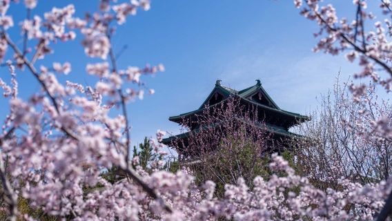 Beijing Shi Yuan International Tourism Resort