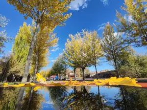 Longyangxia Scenic Spot