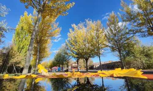 Longyangxia Scenic Spot