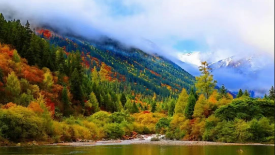 Fall Foliage Sightseeing in Heishui
