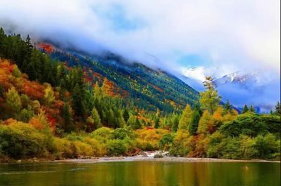 Fall Foliage Sightseeing in Heishui