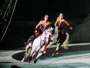 Chimelong International Circus