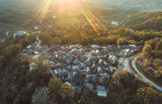 景邁山茶林文化景區來回接駁車大小同價
