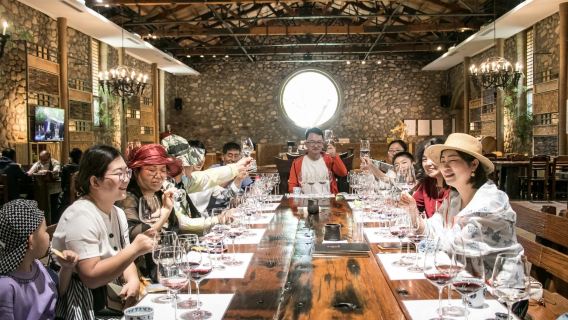 寧夏源石酒莊+西夏陵+賀蘭山巖畫一日遊品【寧夏葡萄酒私家團】