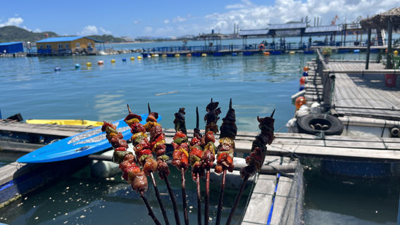 jing tu hai shang xiu xian yu pai