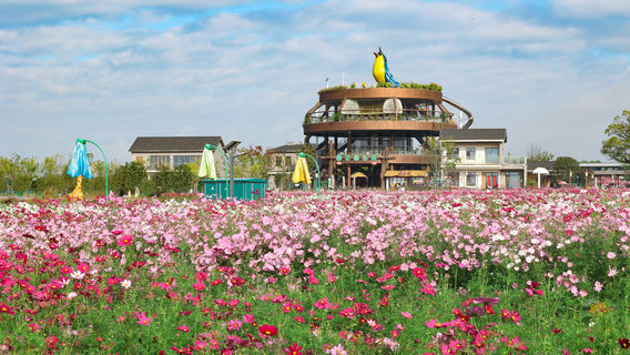 My Gardener Eco Farm