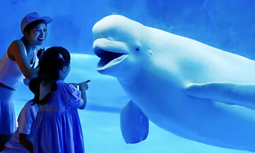 天津極地海洋公園