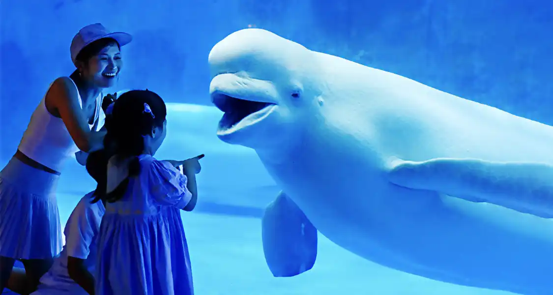 Hotels near Tianjin Polar Ocean Resort