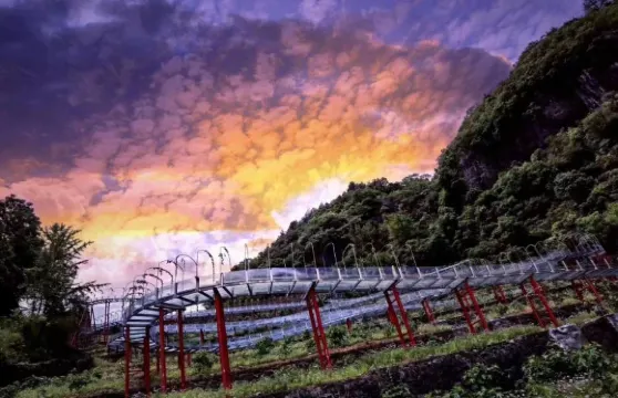 巴王水寨景區門票成人