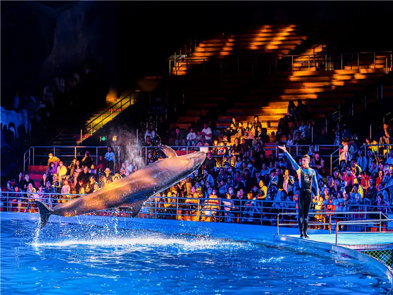 Qingdao Polar Ocean World