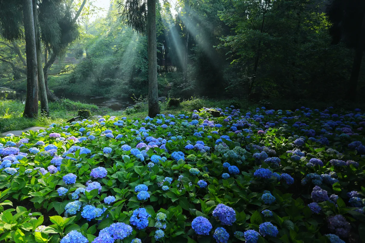 4_Tiantai Mountain Tourist Attraction