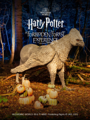 Harry Potter: A Forbidden Forest Experience in Singapore