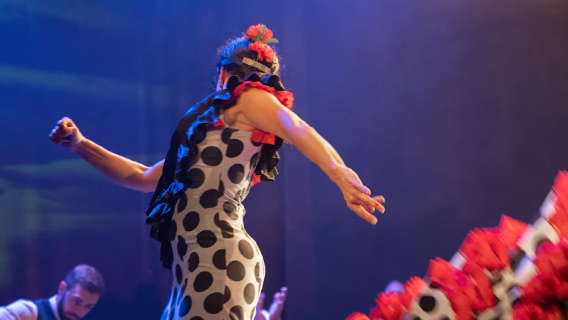 Teatro Flamenco Madrid