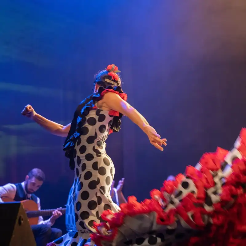 2_Teatro Flamenco Madrid
