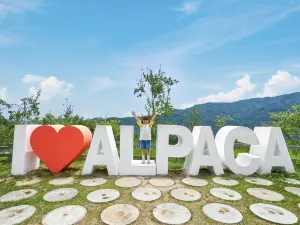 Alpaca World