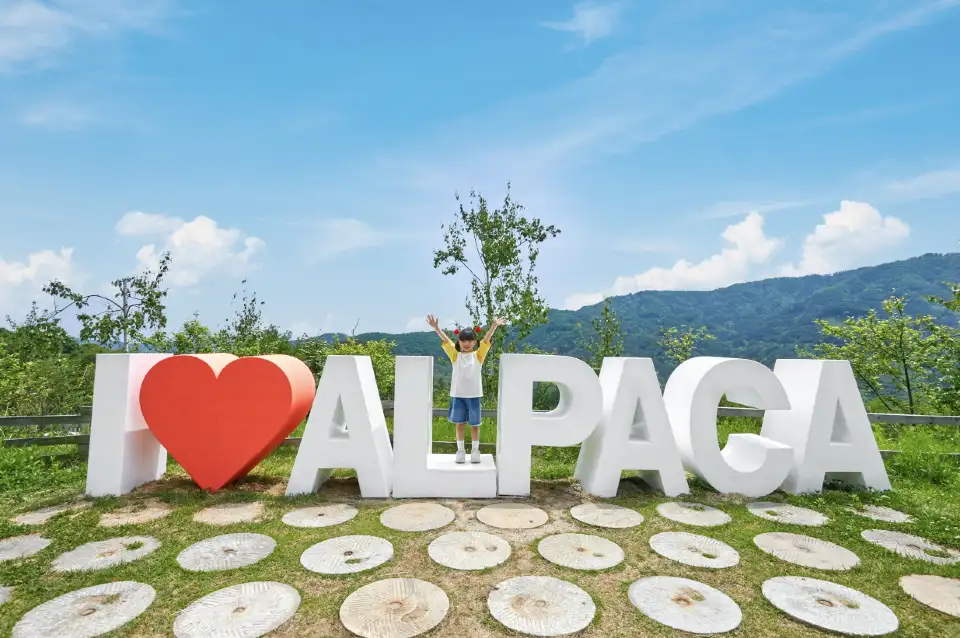 3_Alpaca World
