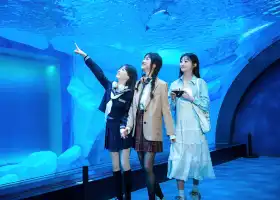 Haichang Ocean Park