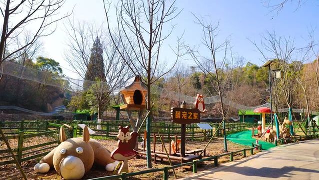 xiang yang fei niao le yuan