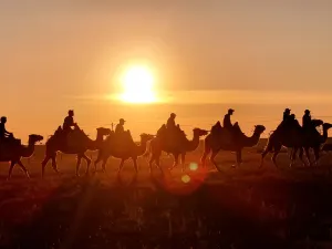 Barhu Mongolian Tribe Folk Tourism Resort