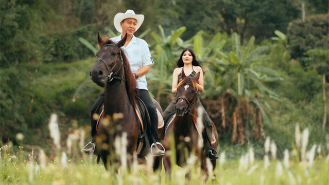 Horse Riding in Phuket