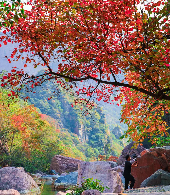 BaoQuan Tourist Resort