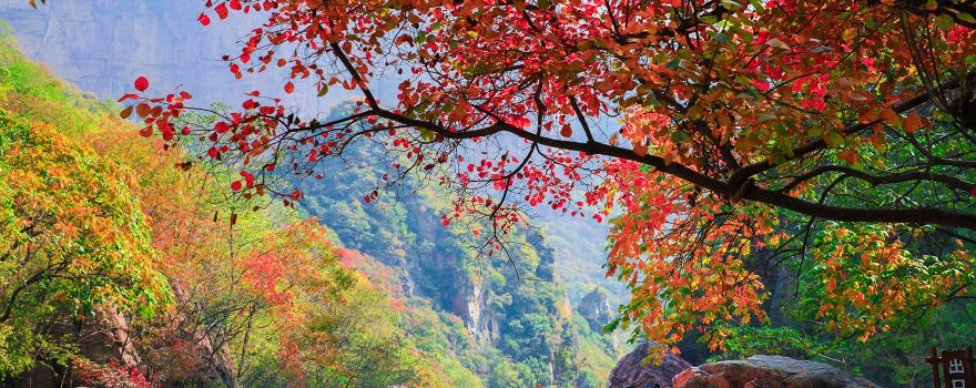 BaoQuan Tourist Resort