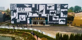 Zhucheng Dinosaur Tour
