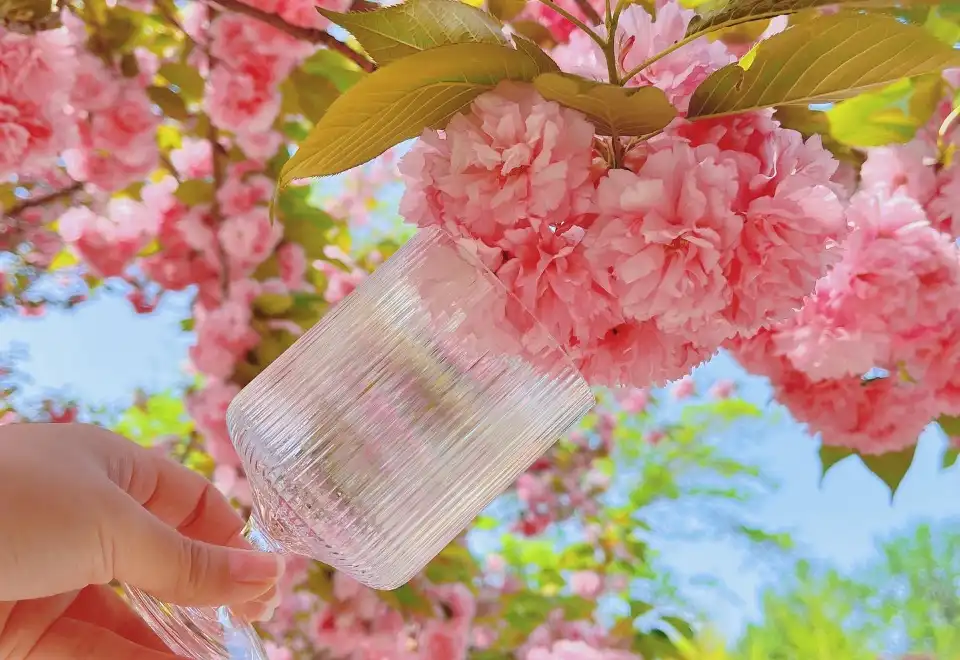 Welcome New York Times Square Countdown Ceremony VIP Pass