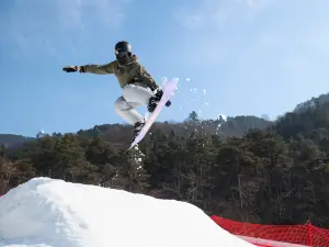 다밍산 완숭링 스키장(대명산 만송령 스키장)